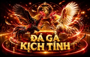 Giao diện Đá Gà nowgoal30
